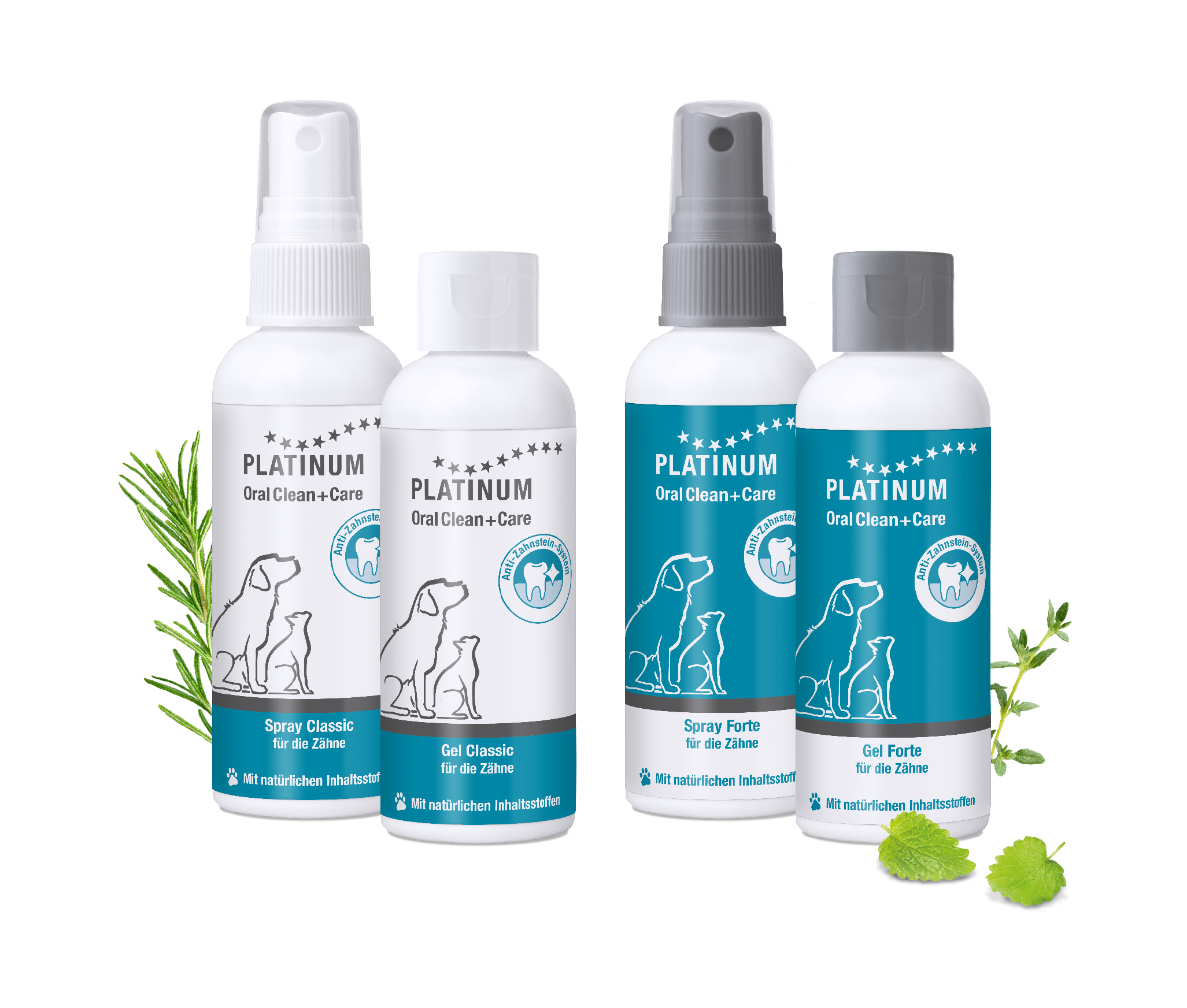 PLATINUM Oral Clean Care