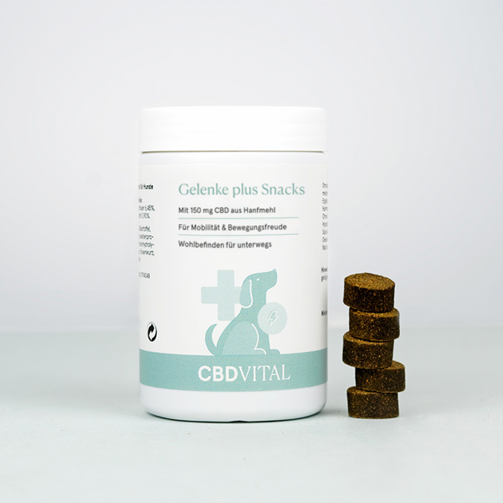 CBD Vital Gelenke plus Snacks Dose